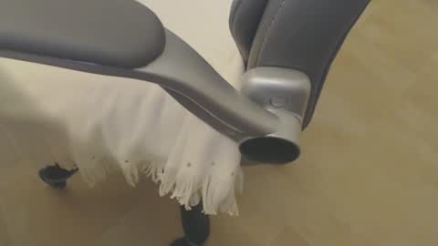 09seb09 online show from 17, 4, 2026