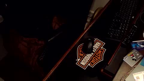 172ndord online show from 21, 12, 2025