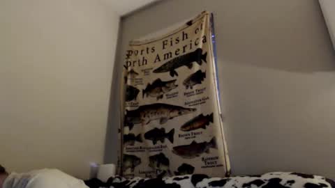 18str8igcock online show from 1, 11, 2025