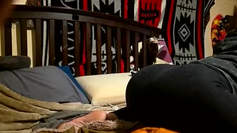 1knightluver69 online show from 5, 4, 2026