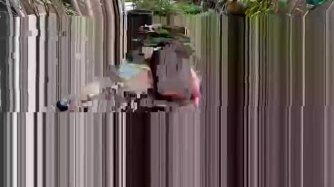 Snapshot of 1nine6nine chatting on 2, 3, 2026 BiHungThickCock69 online show from 2, 3, 2026