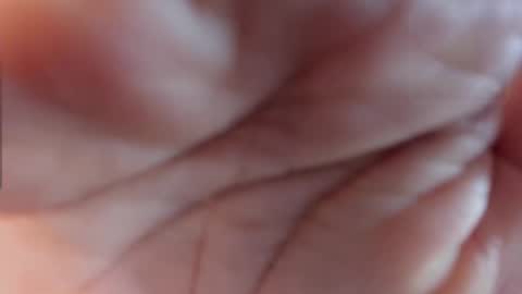 1wayra online show from 24, 11, 2025