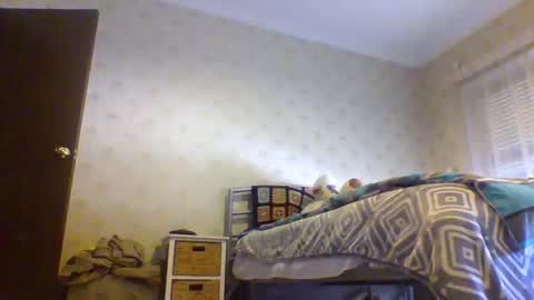 23player online show from 12, 1, 2026