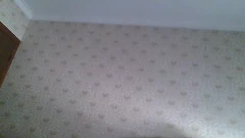 23player online show from 22, 4, 2026