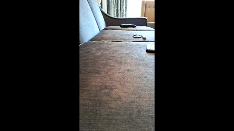 2pac200022 online show from 16, 4, 2026