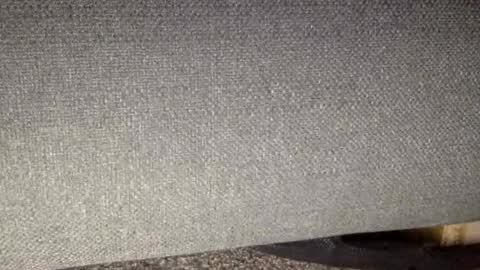 30nick online show from 7, 3, 2026