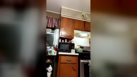 Snapshot of 33adidas chatting on 20, 3, 2026 33adidas online show from 20, 3, 2026