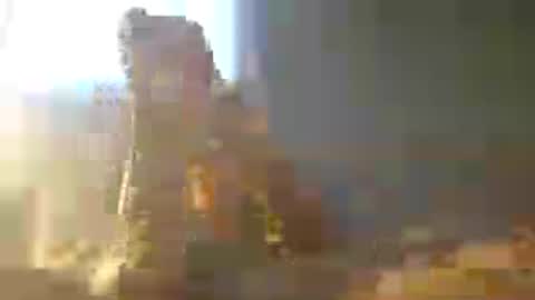 Zeus online show from 12, 7, 2026