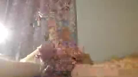 Zeus online show from 15, 7, 2026