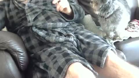 Snapshot of 66bear chatting on 25, 12, 2024 66bear online show from 25, 12, 2024