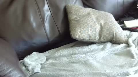 Snapshot of 66bear chatting on 31, 1, 2025 66bear online show from 31, 1, 2025