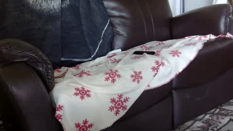 Snapshot of 66bear chatting on 4, 10, 2025 66bear online show from 4, 10, 2025