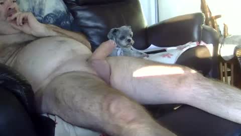 Snapshot of 66bear chatting on 5, 10, 2025 66bear online show from 5, 10, 2025