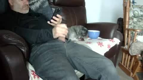 Snapshot of 66bear chatting on 31, 10, 2025 66bear online show from 31, 10, 2025