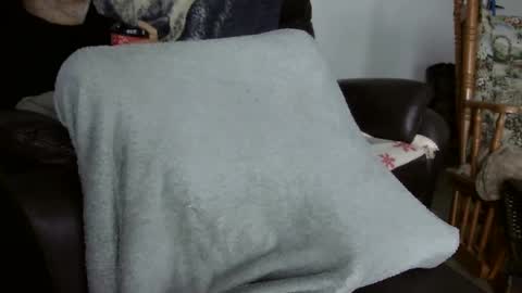 66bear online show from 2, 11, 2025