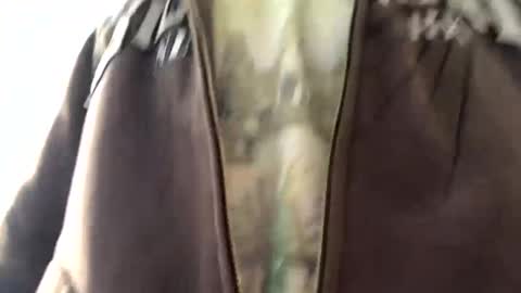 6990fiko online show from 13, 1, 2025