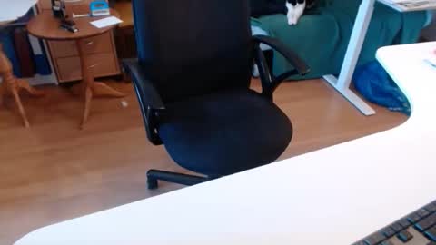 69pifpaf online show from 22, 11, 2025