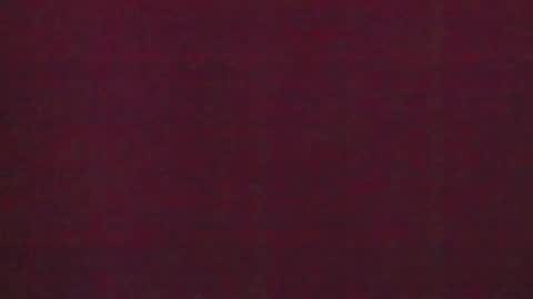 Snapshot of 777_brendi_777 chatting on 31, 1, 2025 Brendi online show from 31, 1, 2025