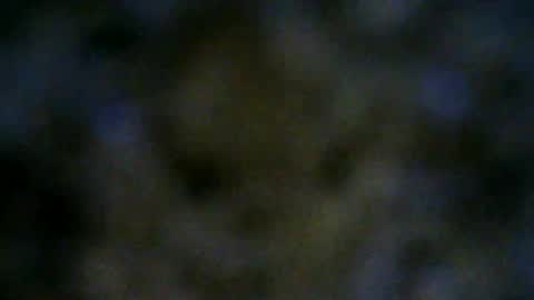 Snapshot of 77lilu chatting on 18, 6, 2026 Lilu online show from 18, 6, 2026