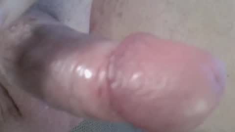 Snapshot of 81_harterschwanz chatting on 2, 1, 2025 Maximilian Max online show from 2, 1, 2025