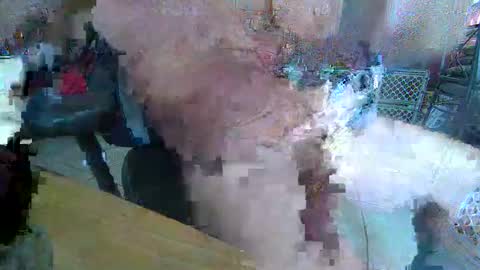 86406stud online show from 10, 4, 2026