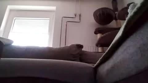 88piterr88 online show from 24, 2, 2025