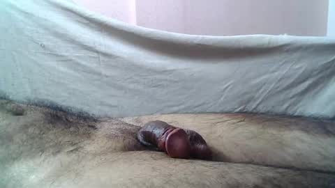 Massive hungry cock online show from 15, 5, 2026