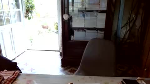 _123_voyeur_ online show from 6, 3, 2026