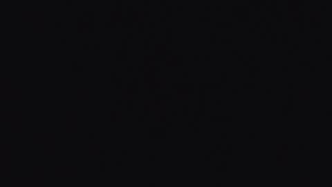  Abby  online show from 17, 2, 2026