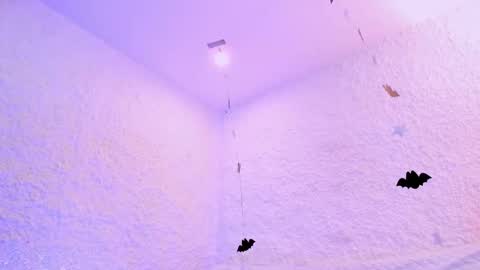 Alexander online show from 28, 10, 2025