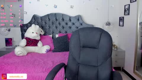 antonnela online show from 28, 2, 2025