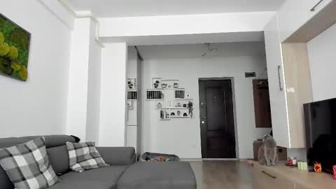 Ariana online show from 20, 2, 2025