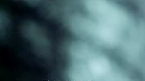 Snapshot of _black_horse_1 chatting on 16, 5, 2026 _black_horse_1 online show from 16, 5, 2026