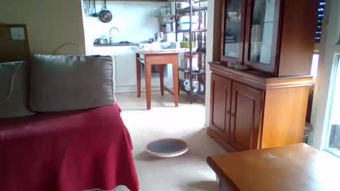 _bubble_buttfunxxx online show from 11, 10, 2025