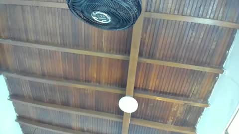 Candy online show from 21, 10, 2025