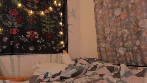 Caroline online show from 13, 12, 2024