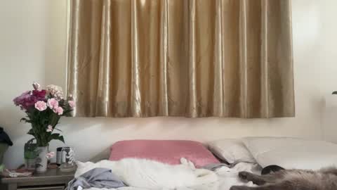 Snapshot of _chelsea___ chatting on 16, 2, 2025 Chelsea xo online show from 16, 2, 2025