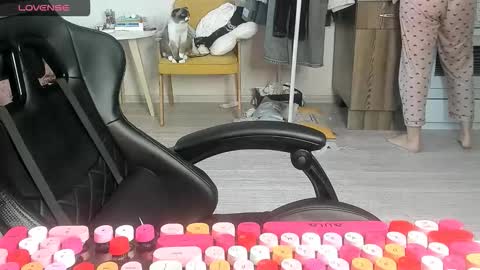 Alis online show from 2, 3, 2026