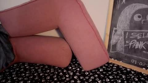 Gaia online show from 19, 1, 2026