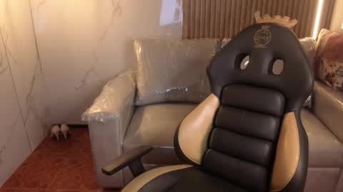 _kitten_1 online show from 17, 1, 2026