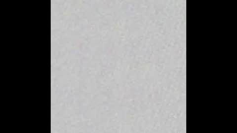 _maccaa_ online show from 8, 9, 2025