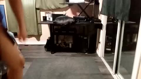 Olivia online show from 24, 11, 2025