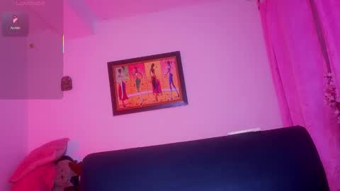   0900 p.m a 0500 a.m Colombia time UTC -5  online show from 29, 3, 2026