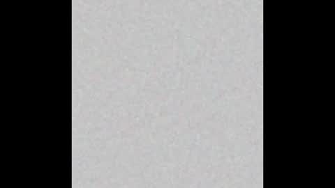 _tammarra_ online show from 8, 9, 2025