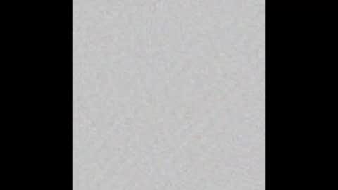 _tammarra_ online show from 8, 1, 2026