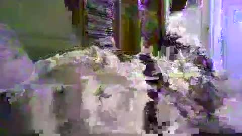 Snapshot of a203530 chatting on 8, 1, 2026 a203530 online show from 8, 1, 2026