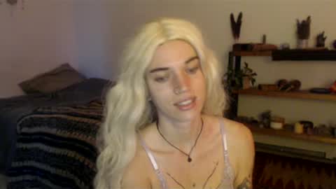 ally online show from 15, 12, 2024