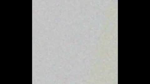 Aaliyah Wesler Tacchini online show from 21, 9, 2025