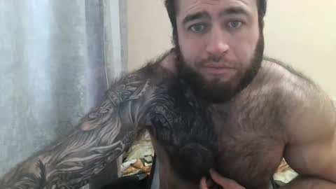 Davin tayl online show from 29, 3, 2026