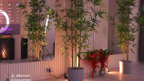 Alexa online show from 3, 2, 2025